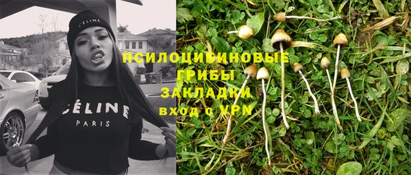 амф Аркадак