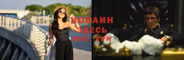 амф Аркадак